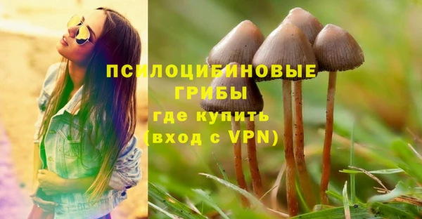 ALPHA-PVP Сосновый Бор