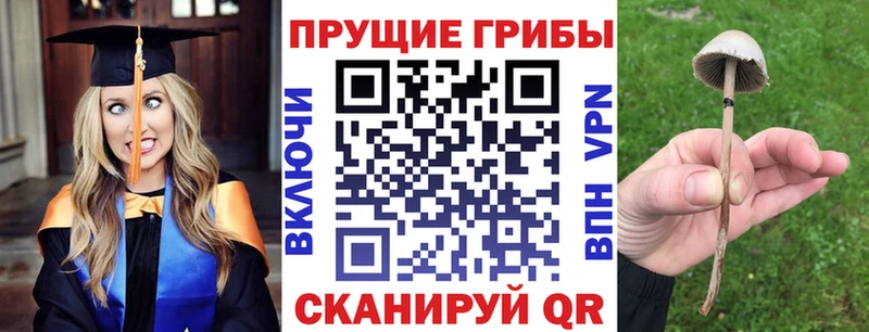 Галлюциногенные грибы GOLDEN TEACHER закладка Юрга