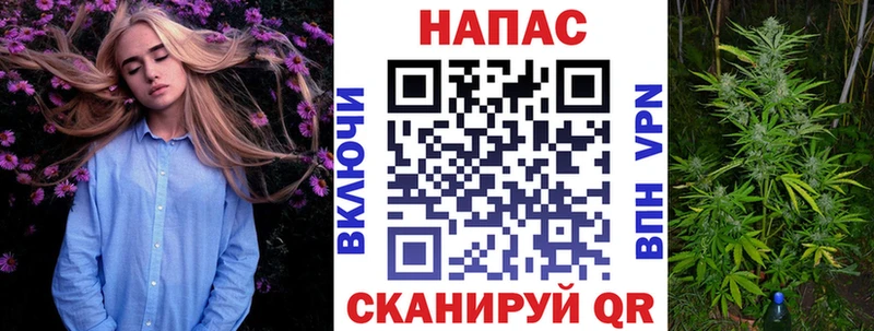 хочу наркоту  Юрга  Канабис Ganja 